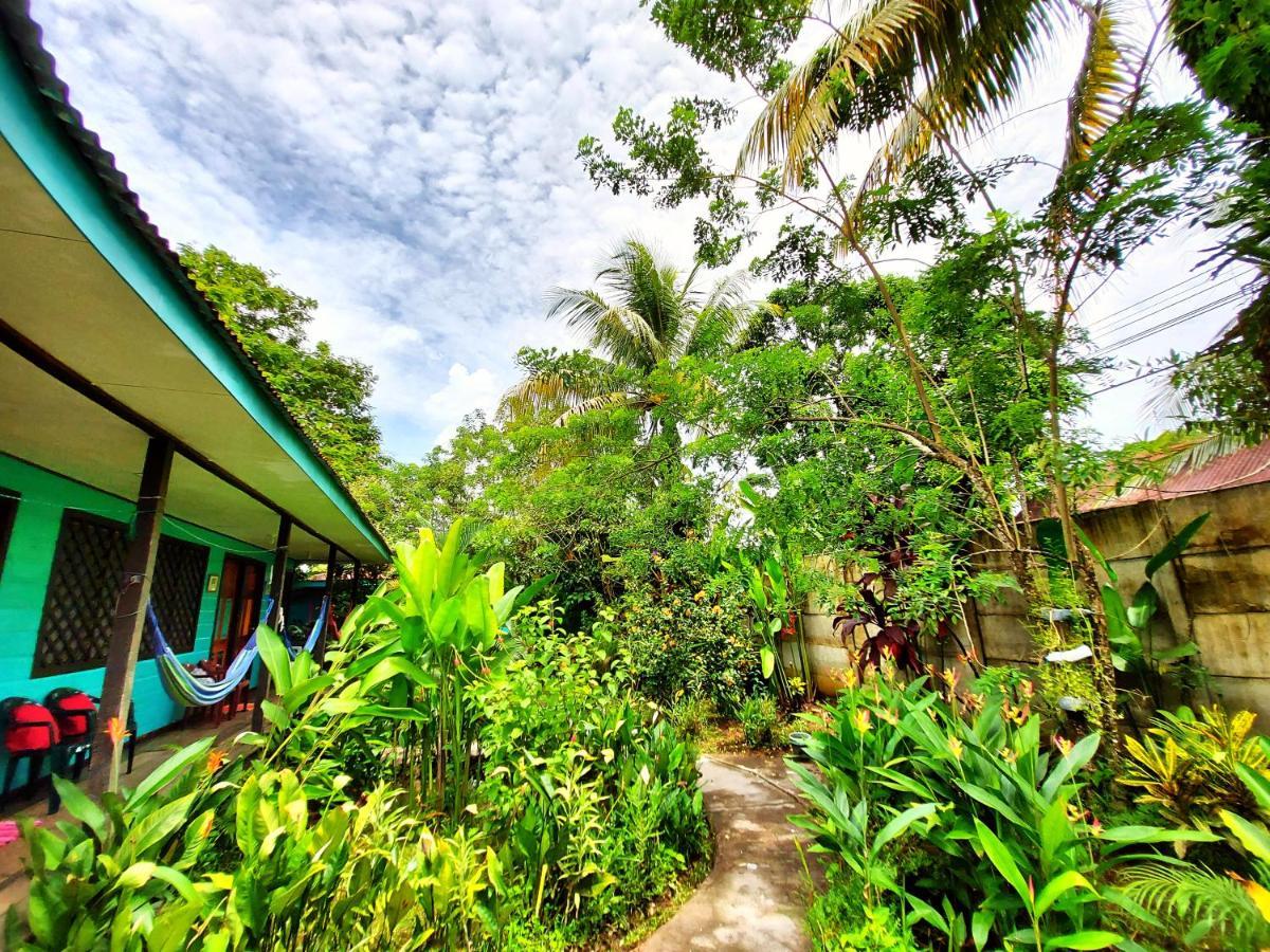Cabinas Tortuguero Exteriér fotografie