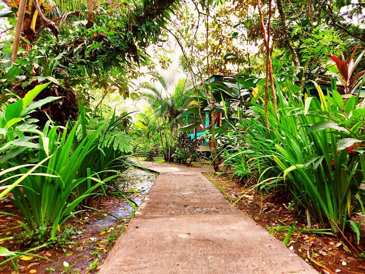 Cabinas Tortuguero Exteriér fotografie
