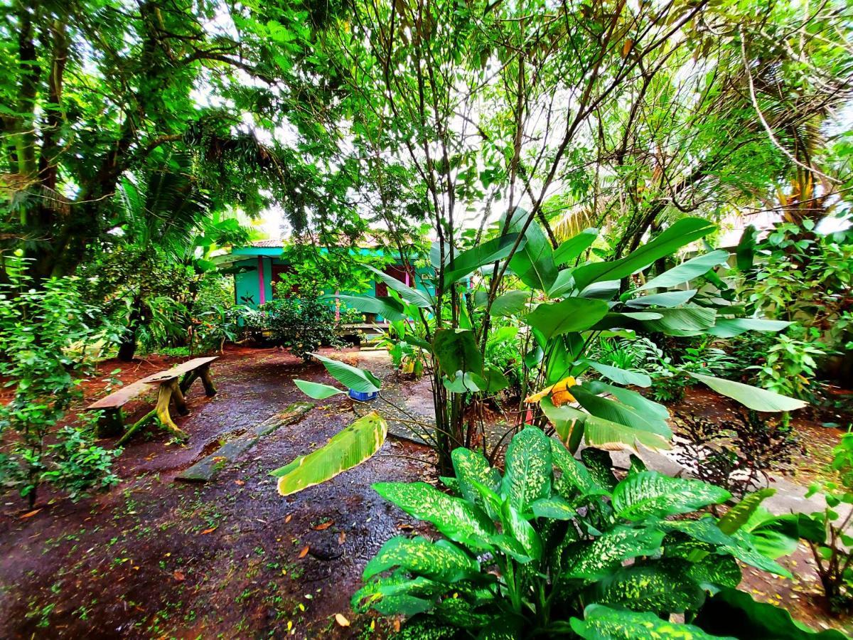 Cabinas Tortuguero Exteriér fotografie