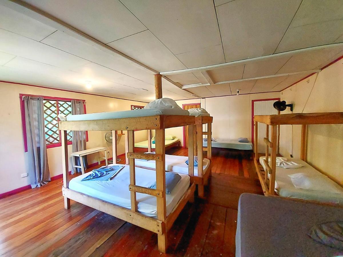 Cabinas Tortuguero Exteriér fotografie