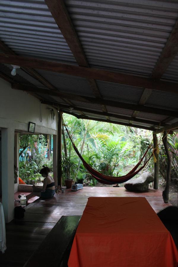 Cabinas Tortuguero Exteriér fotografie