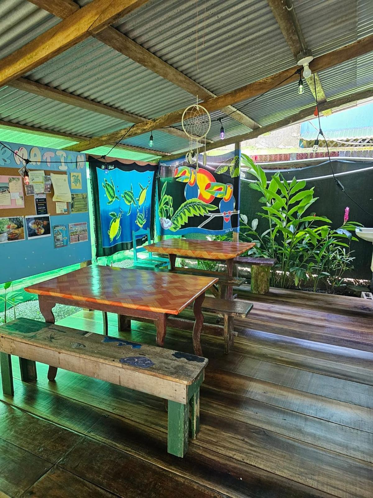 Cabinas Tortuguero Exteriér fotografie