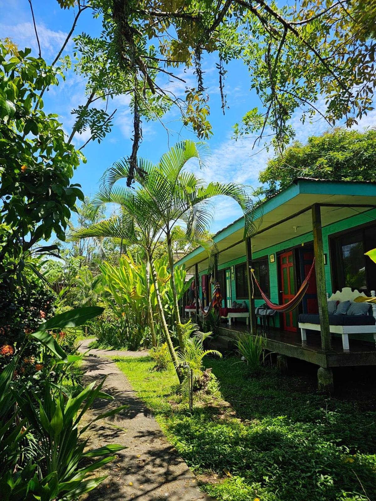 Cabinas Tortuguero Exteriér fotografie