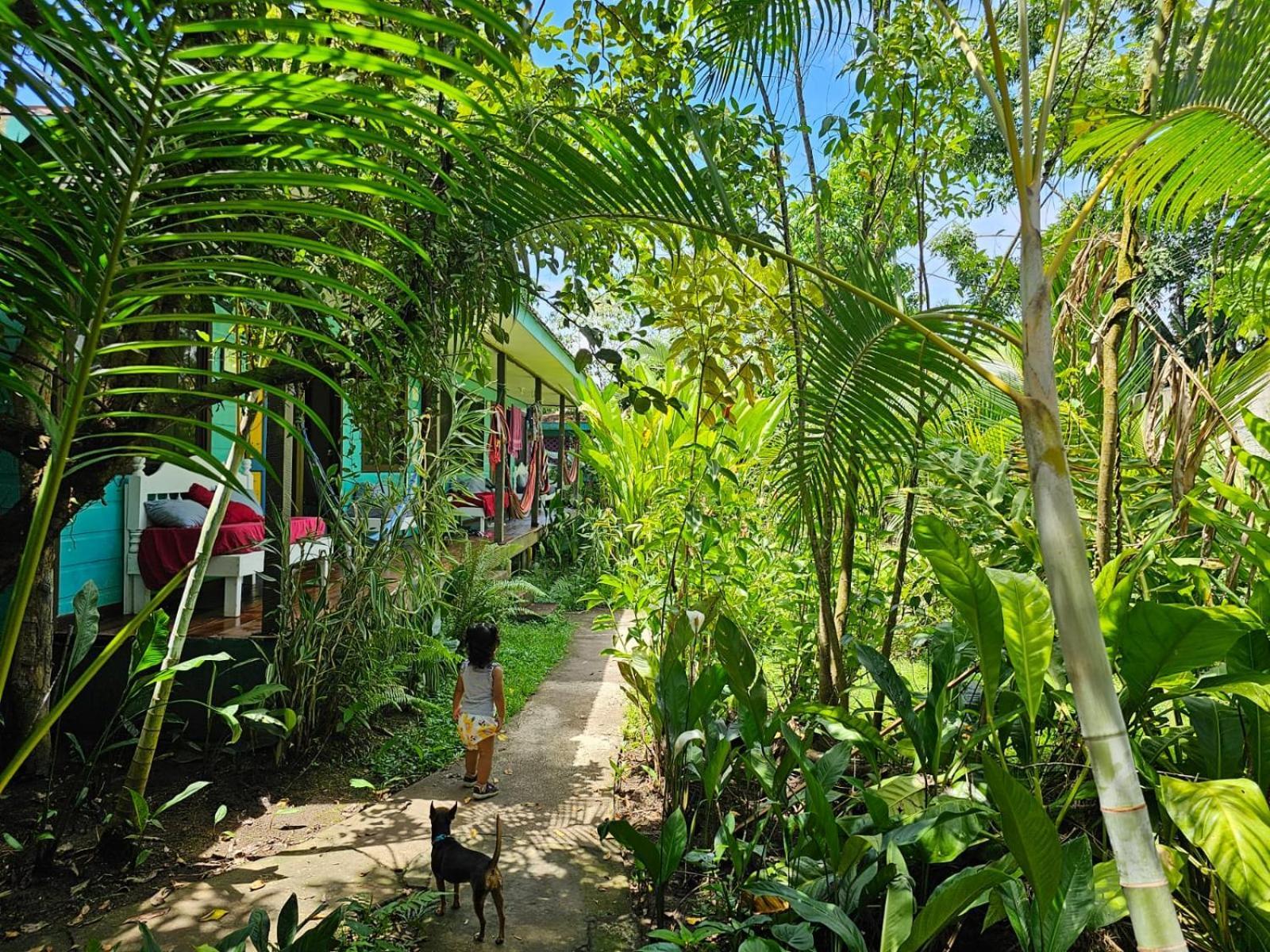 Cabinas Tortuguero Exteriér fotografie