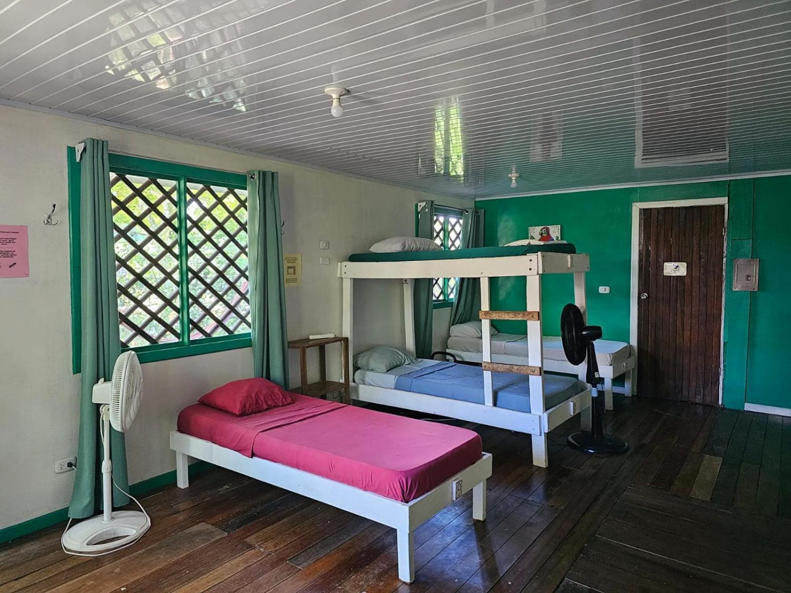 Cabinas Tortuguero Exteriér fotografie