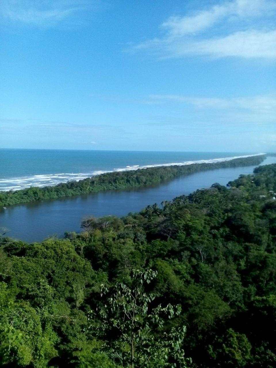 Cabinas Tortuguero Exteriér fotografie